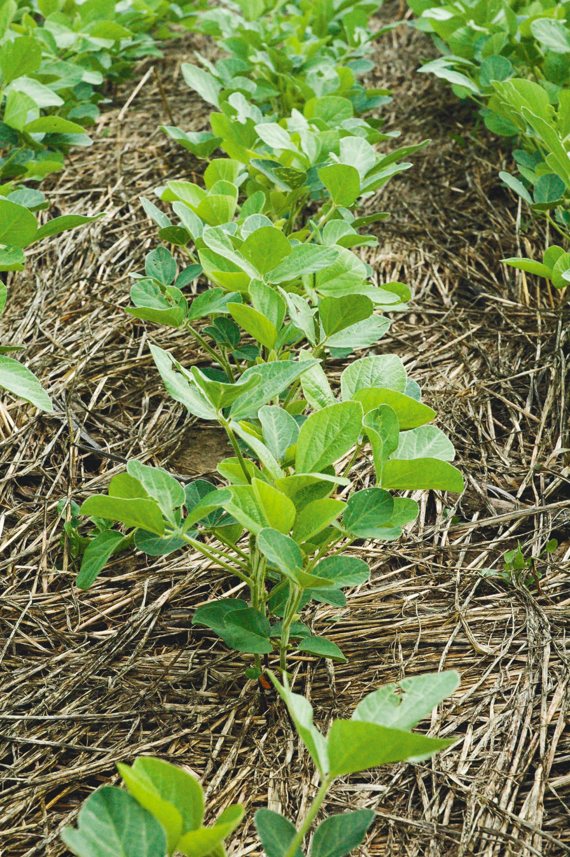 Conservation seminars to offer insights into soil health
